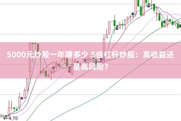5000元炒股一年赚多少 5倍杠杆炒股：高收益还是高风险？