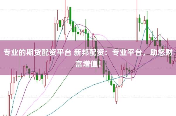专业的期货配资平台 新邦配资：专业平台，助您财富增值！