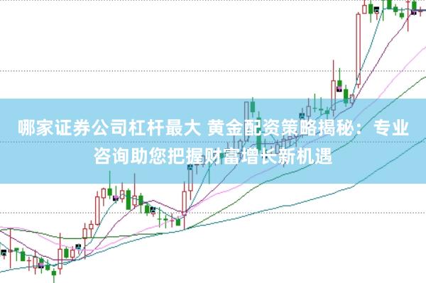 哪家证券公司杠杆最大 黄金配资策略揭秘：专业咨询助您把握财富增长新机遇