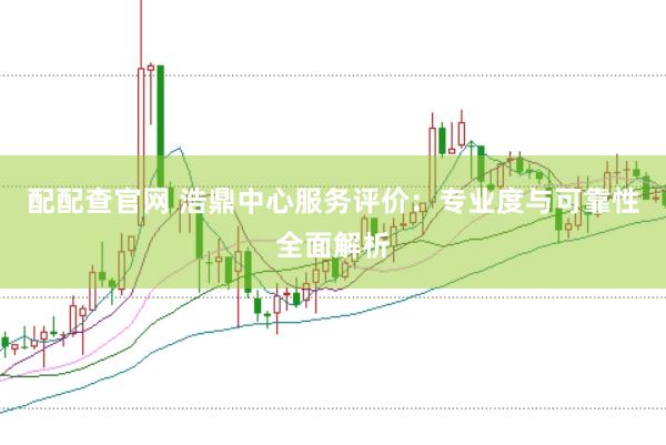 配配查官网 浩鼎中心服务评价：专业度与可靠性全面解析