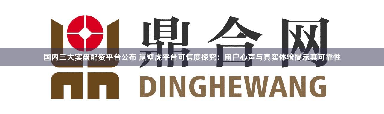 国内三大实盘配资平台公布 赢壁虎平台可信度探究：用户心声与真实体验揭示其可靠性