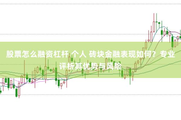 股票怎么融资杠杆 个人 砖块金融表现如何？专业评析其优势与风险