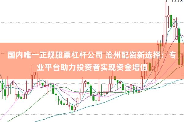 国内唯一正规股票杠杆公司 沧州配资新选择：专业平台助力投资者实现资金增值