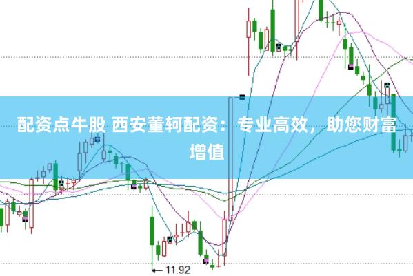 配资点牛股 西安董轲配资：专业高效，助您财富增值