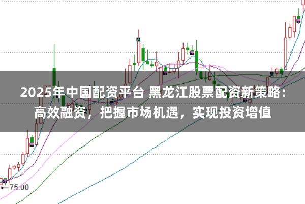 2025年中国配资平台 黑龙江股票配资新策略：高效融资，把握市场机遇，实现投资增值