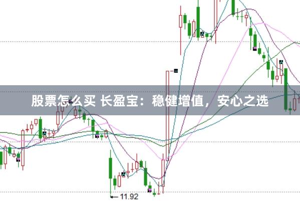 股票怎么买 长盈宝：稳健增值，安心之选