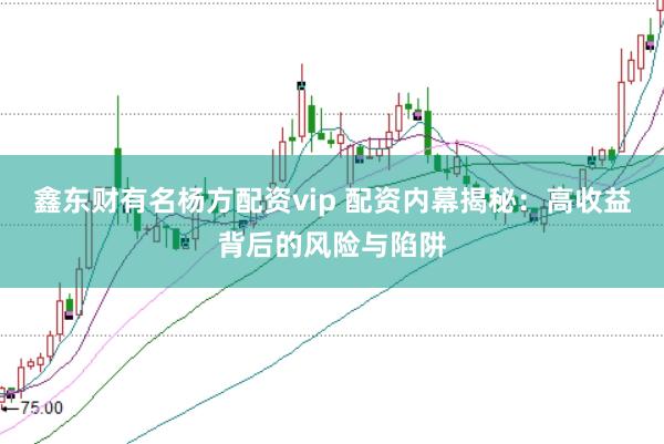 鑫东财有名杨方配资vip 配资内幕揭秘：高收益背后的风险与陷阱