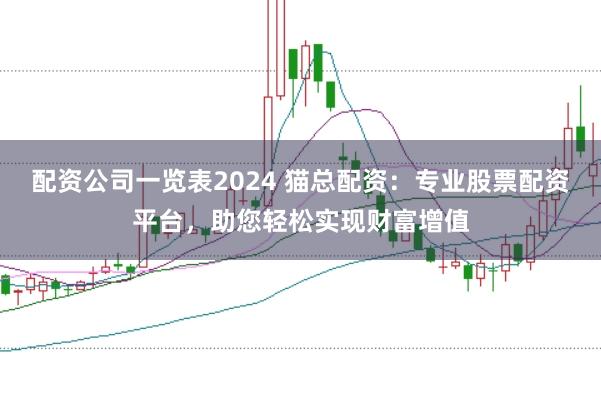 配资公司一览表2024 猫总配资：专业股票配资平台，助您轻松实现财富增值