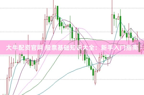 大牛配资官网 股票基础知识大全：新手入门指南